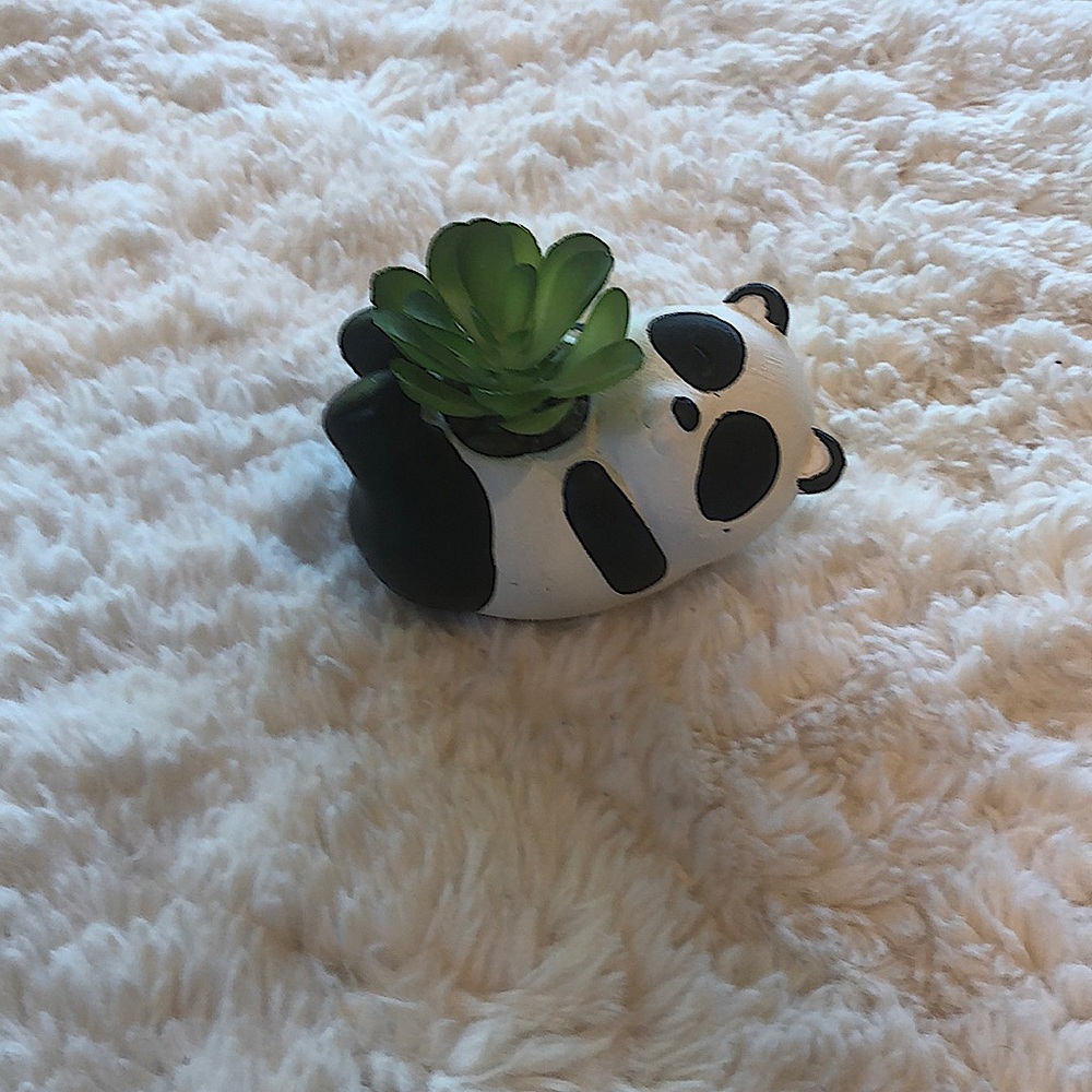 Panda mini plant holder🌺